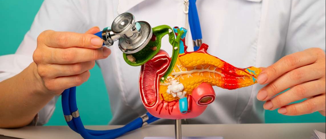 Направления